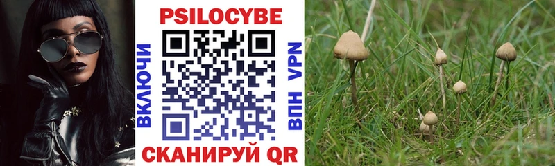 кракен ССЫЛКА  Малоярославец  Псилоцибиновые грибы Magic Shrooms 